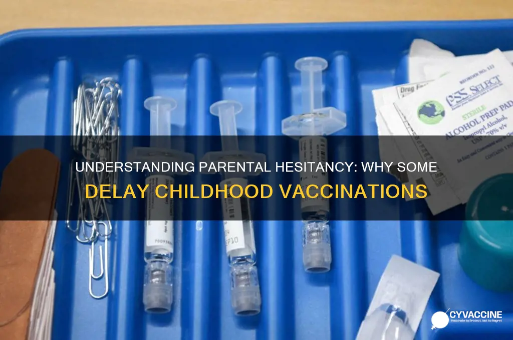 why do parents delay the vaccine for their children