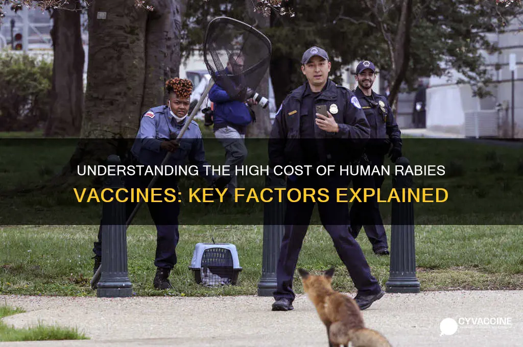 why do rabies vaccines for humans cost some