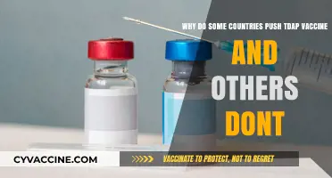 Global Tdap Vaccine Divide: Policies, Priorities, and Public Health Perspectives