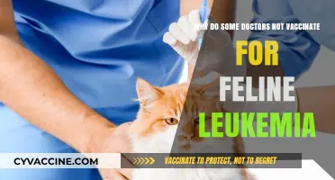 Why Some Vets Skip Feline Leukemia Vaccines: Key Insights