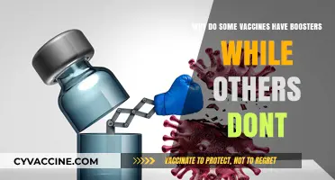 Why Some Vaccines Require Boosters and Others Don't Explained