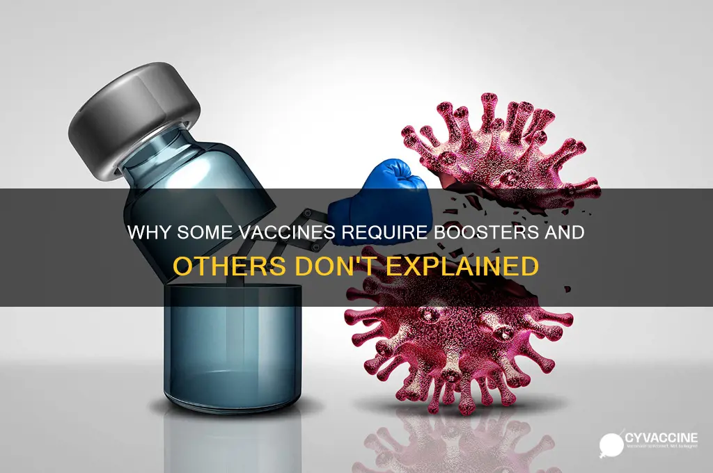 why do some vaccines have boosters while others dont