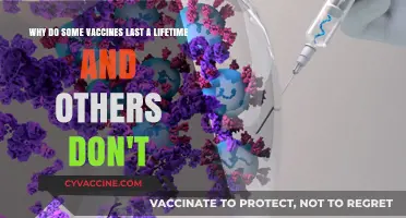 Lifetime Immunity vs. Annual Shots: Unraveling Vaccine Duration Mysteries