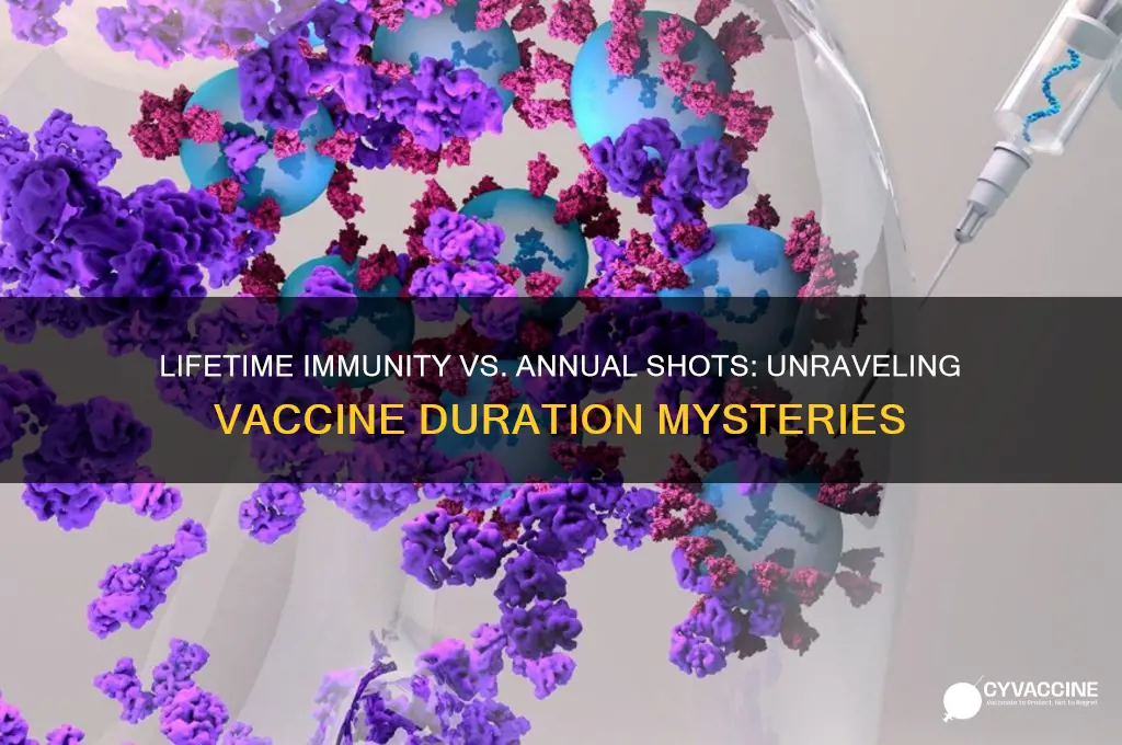 why do some vaccines last a lifetime and others don