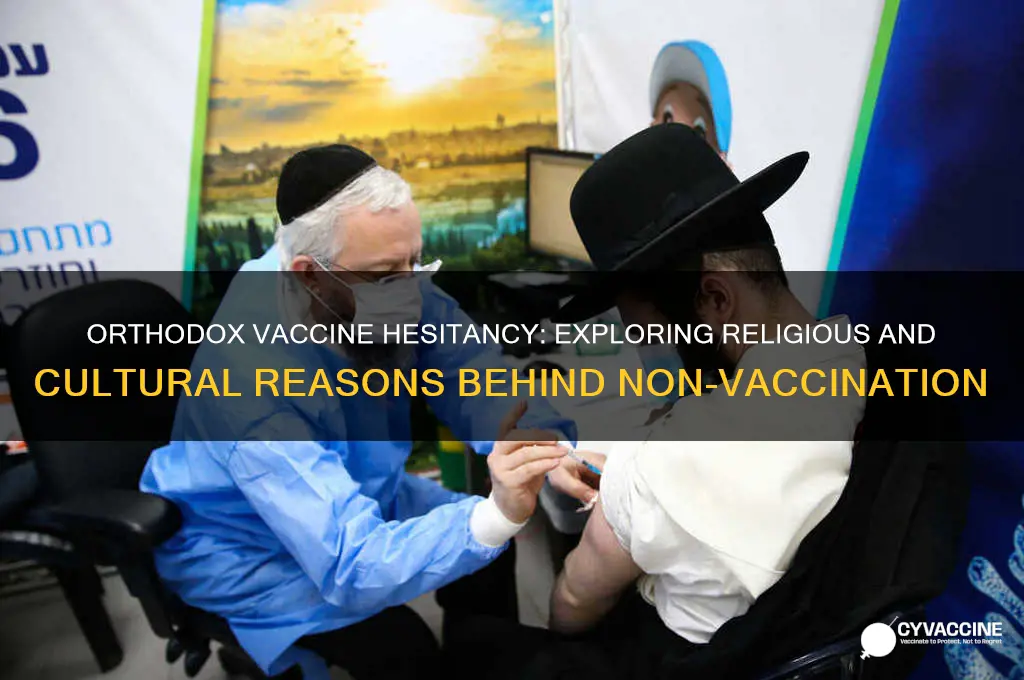 why do the orthodox not vaccinate their kids