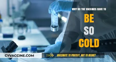 Why Vaccines Need Ultra-Cold Storage: Science Behind the Chill