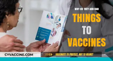 Debunking Myths: The Truth About Vaccine Ingredients and Safety