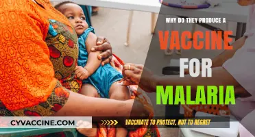 Understanding the Urgent Need for a Malaria Vaccine: A Global Health Imperative