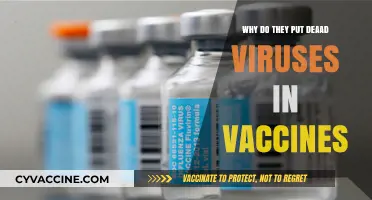 Dead Viruses in Vaccines: Understanding Their Role in Immunity