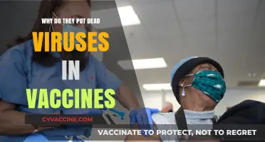 Dead Viruses in Vaccines: Understanding Their Role in Immunity