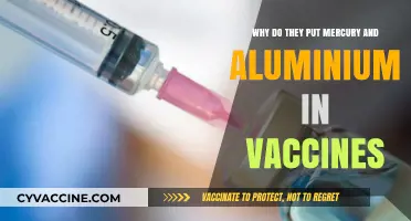 Mercury and Aluminium in Vaccines: Debunking Myths and Understanding Safety