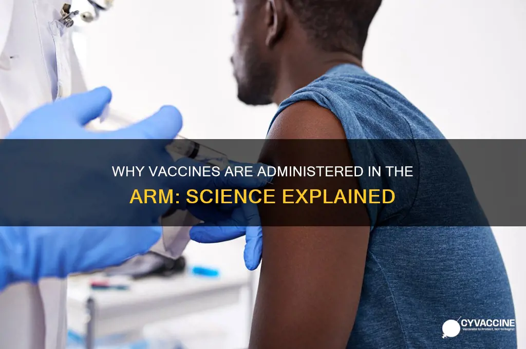 why do they put vaccines in the arm