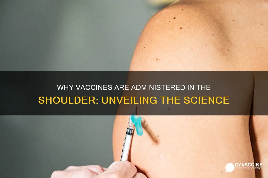 why do they put vaccines in your shoulder
