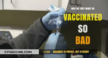 The Urge for Universal Vaccination: Unraveling the Global Health Priority