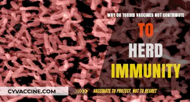 Toxoid Vaccines and Herd Immunity: Understanding Their Limited Collective Impact