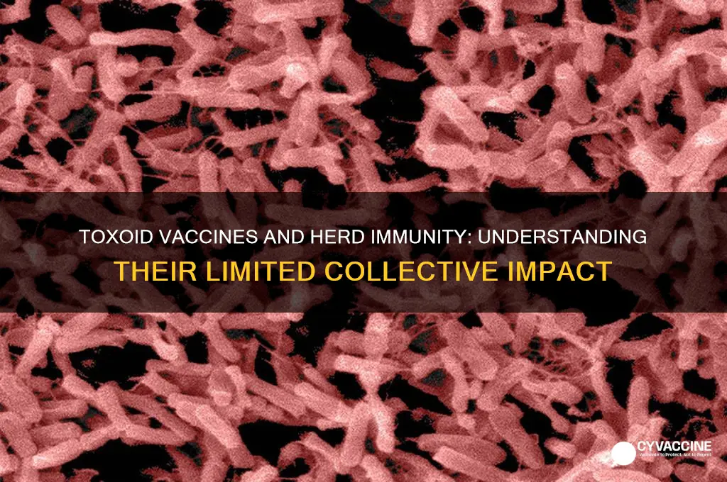 why do toxoid vaccines not contribute to herd immunity