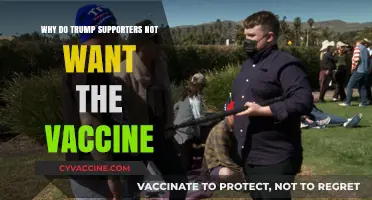Understanding Trump Supporters' Vaccine Hesitancy: Politics, Trust, and Misinformation