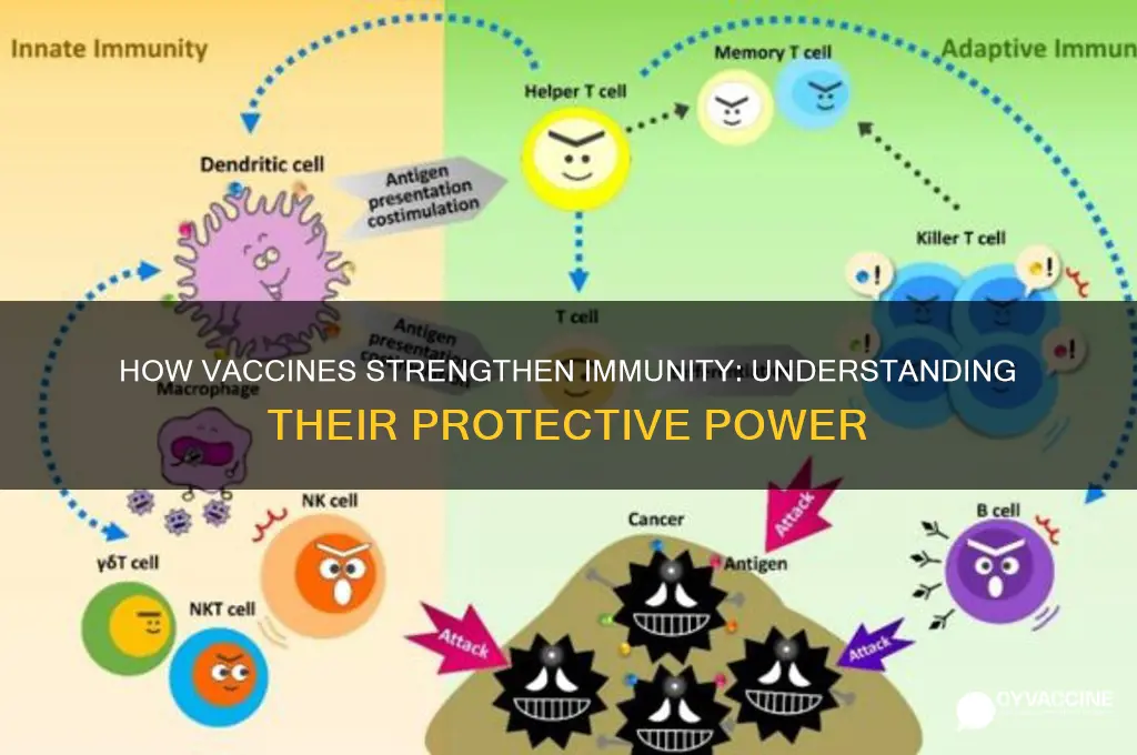 why do vaccines build up immunity