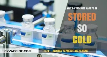 Why Vaccines Need Cold Storage: Preserving Potency and Safety