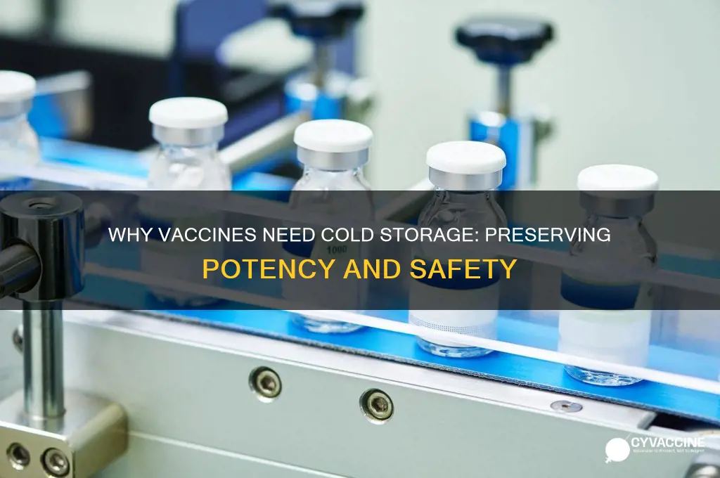 why do vaccines have to be stored so cold