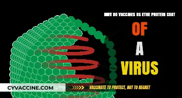 Why Vaccines Use Viral Protein Coats: Unlocking Immunity Safely