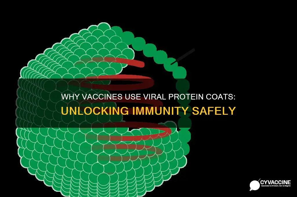 why do vaccines us ethe protein coat of a virus