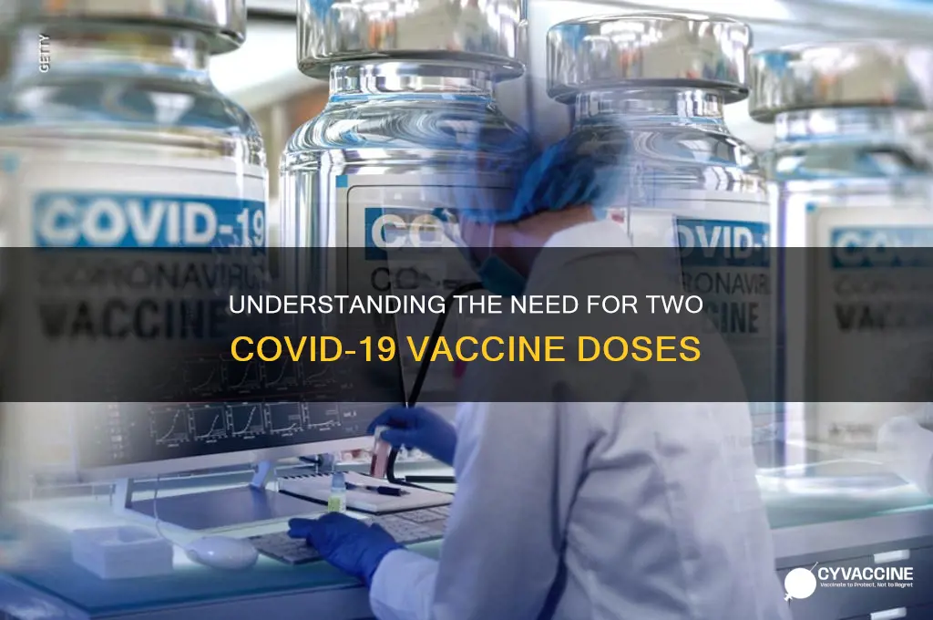 why do we have to have 2 vaccines