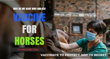 Protecting Horses: The Importance of WNV and EEE Vaccines