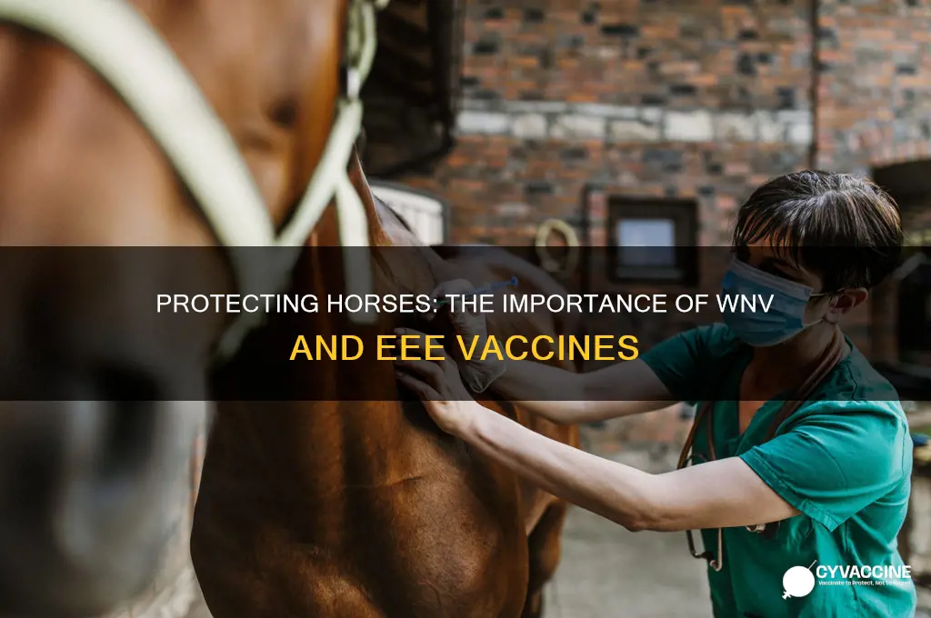why do we have wnv and eee vaccine for horses