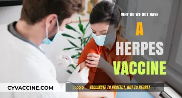 The Elusive Herpes Vaccine: Challenges and Unmet Medical Needs