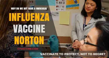Why a Universal Influenza Vaccine Remains Elusive: Norton Explains