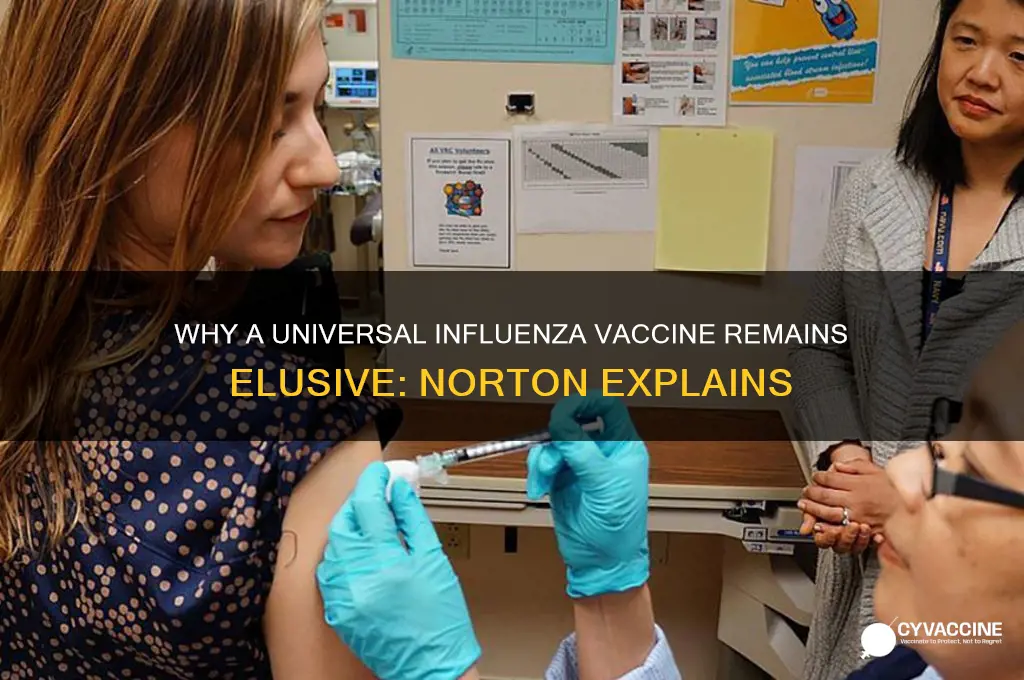 why do we not have a universal influenza vaccine norton