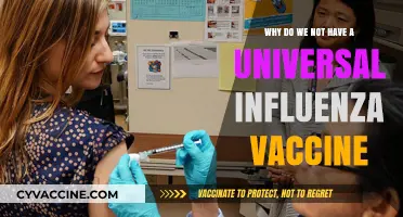 Why a Universal Influenza Vaccine Remains Elusive: Challenges Explained