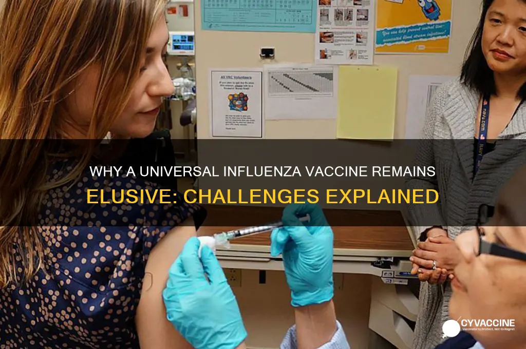 why do we not have a universal influenza vaccine