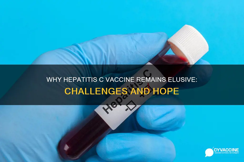 why do we not have a vaccine against hep c