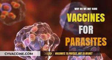 The Parasite Puzzle: Why Vaccines Remain Elusive for These Complex Organisms