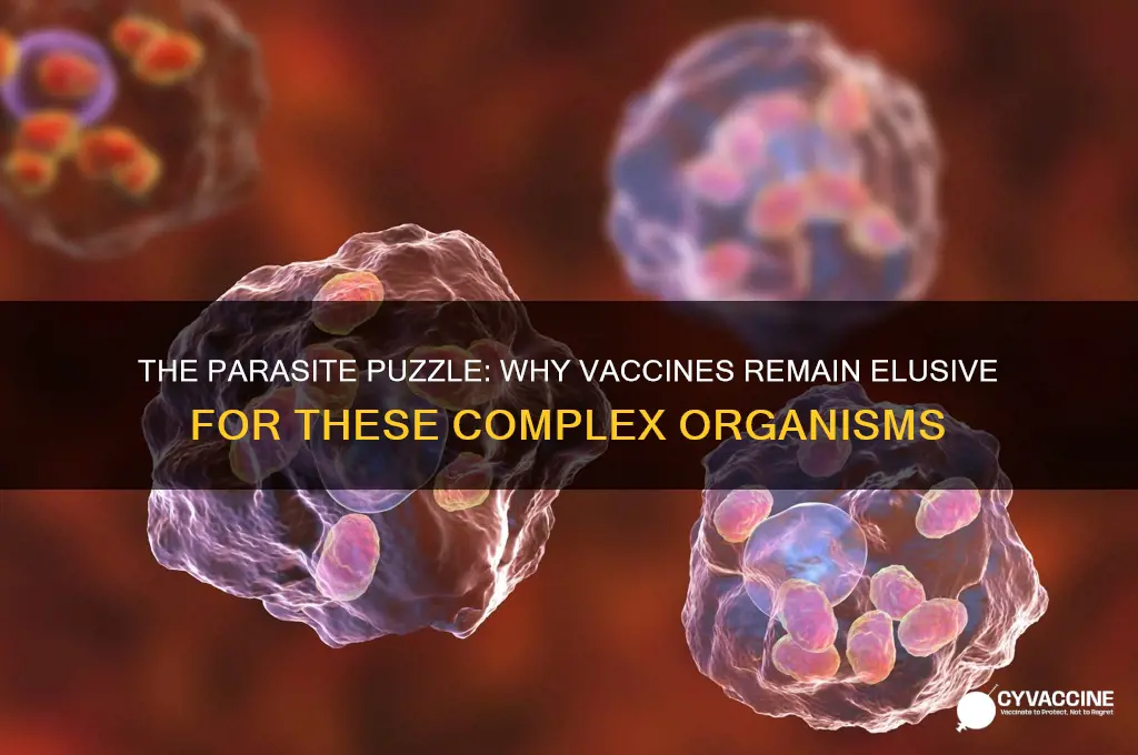 why do we not have vaccines for parasites