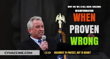 Debunked Yet Persistent: Understanding the Roots of Vaccine Misinformation