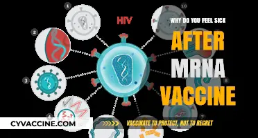 Why mRNA Vaccines Can Cause Nausea and Other Side Effects