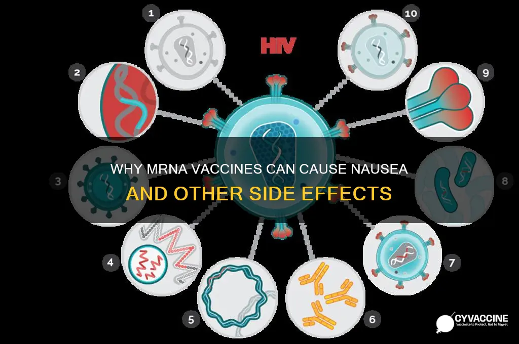 why do you feel sick after mrna vaccine