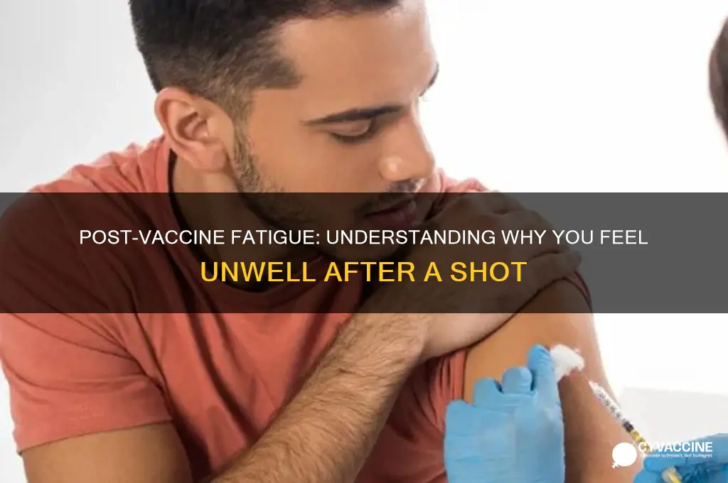 why do you feel unwell after a vaccine