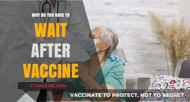 Understanding the Post-Vaccine Waiting Period: Safety and Efficacy Explained