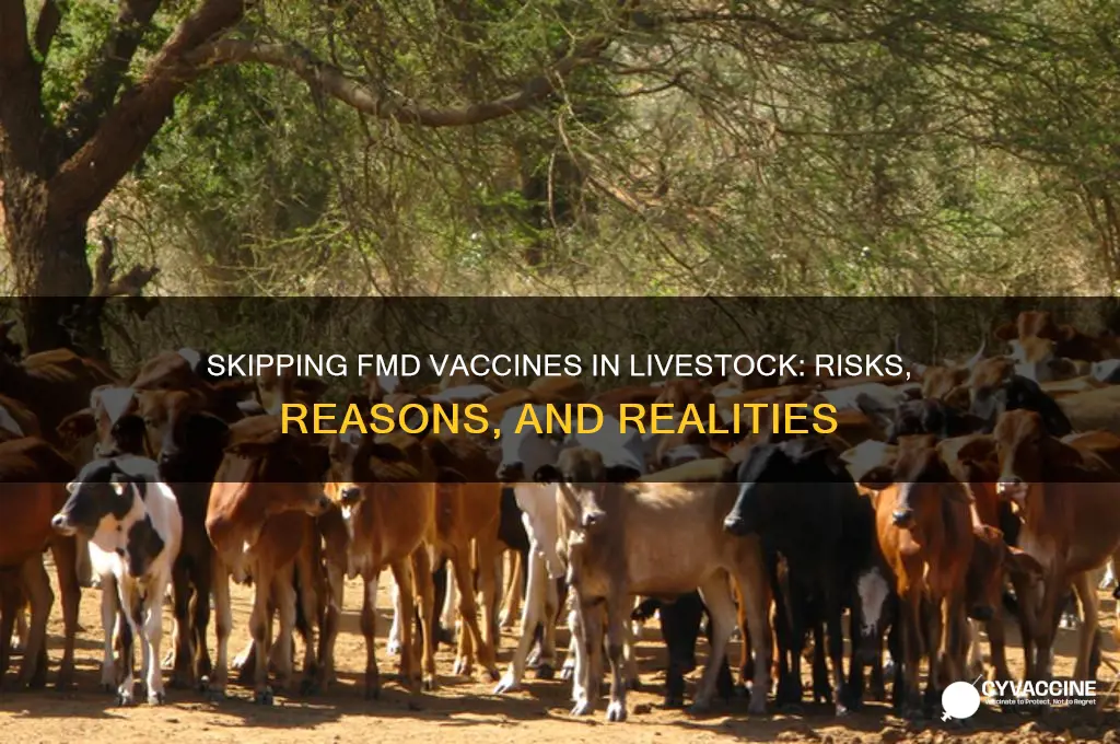 why do you not vaccinate for fmds in animals