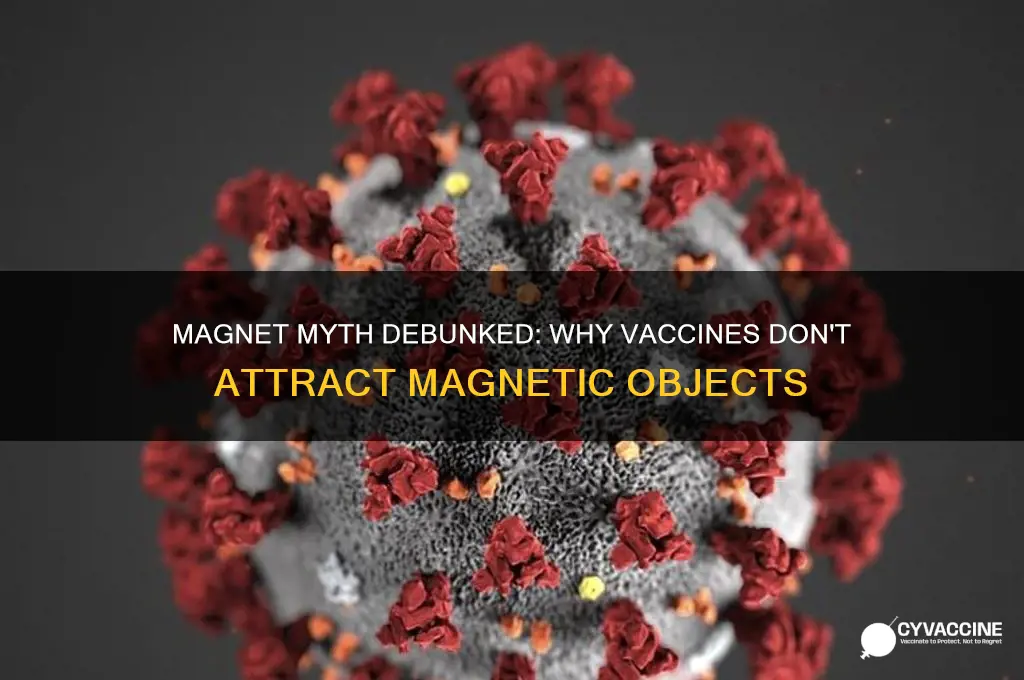 why does a magnet stick to my vaccine shot
