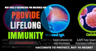 Why Flu Vaccines Don’t Offer Lifelong Immunity: Key Reasons Explained