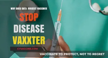 Vaccines and Disease Prevention: What Data Reveals About Their Effectiveness