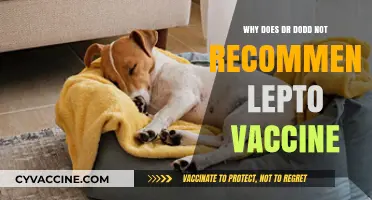 Dr. Dodd's Concerns: Why Lepto Vaccine Isn't Recommended