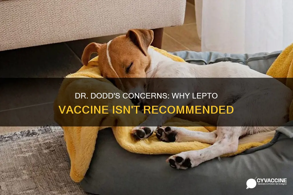 why does dr dodd not recommend lepto vaccine
