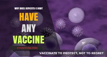Why Hepatitis C Lacks a Vaccine: Unraveling the Scientific Challenges