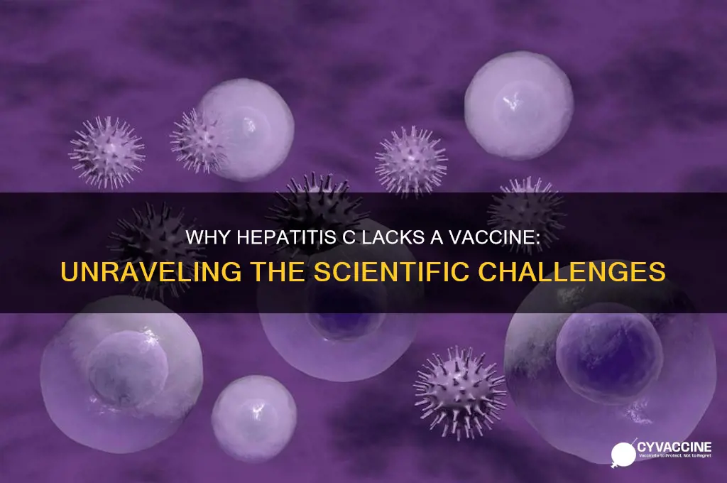 why does hepatits c dont have any vaccine